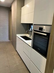 Skyline Residences (D4), Condominium #460272281
